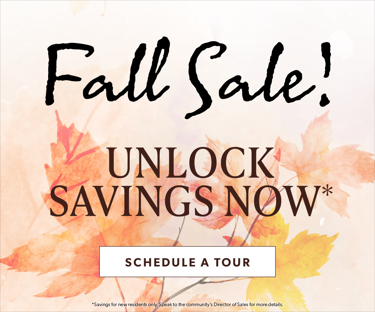 Slider_Fall Sale_October 2025_1200 x 1000